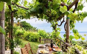 agriturismo la selva