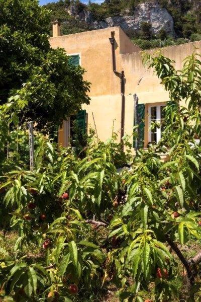 agriturismo la selva Finale Ligure Esterno foto
